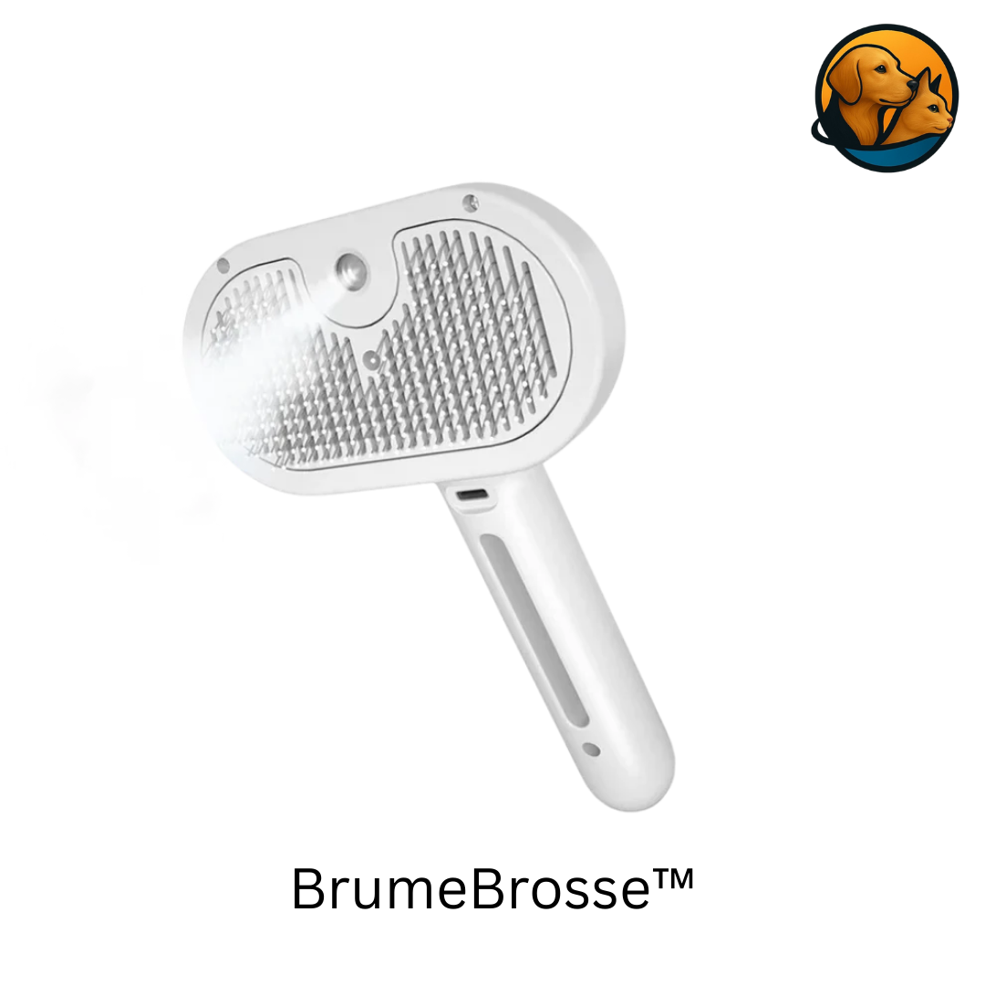 BrumeBrosse™ – Brosse anti-poils avec brume intégrée