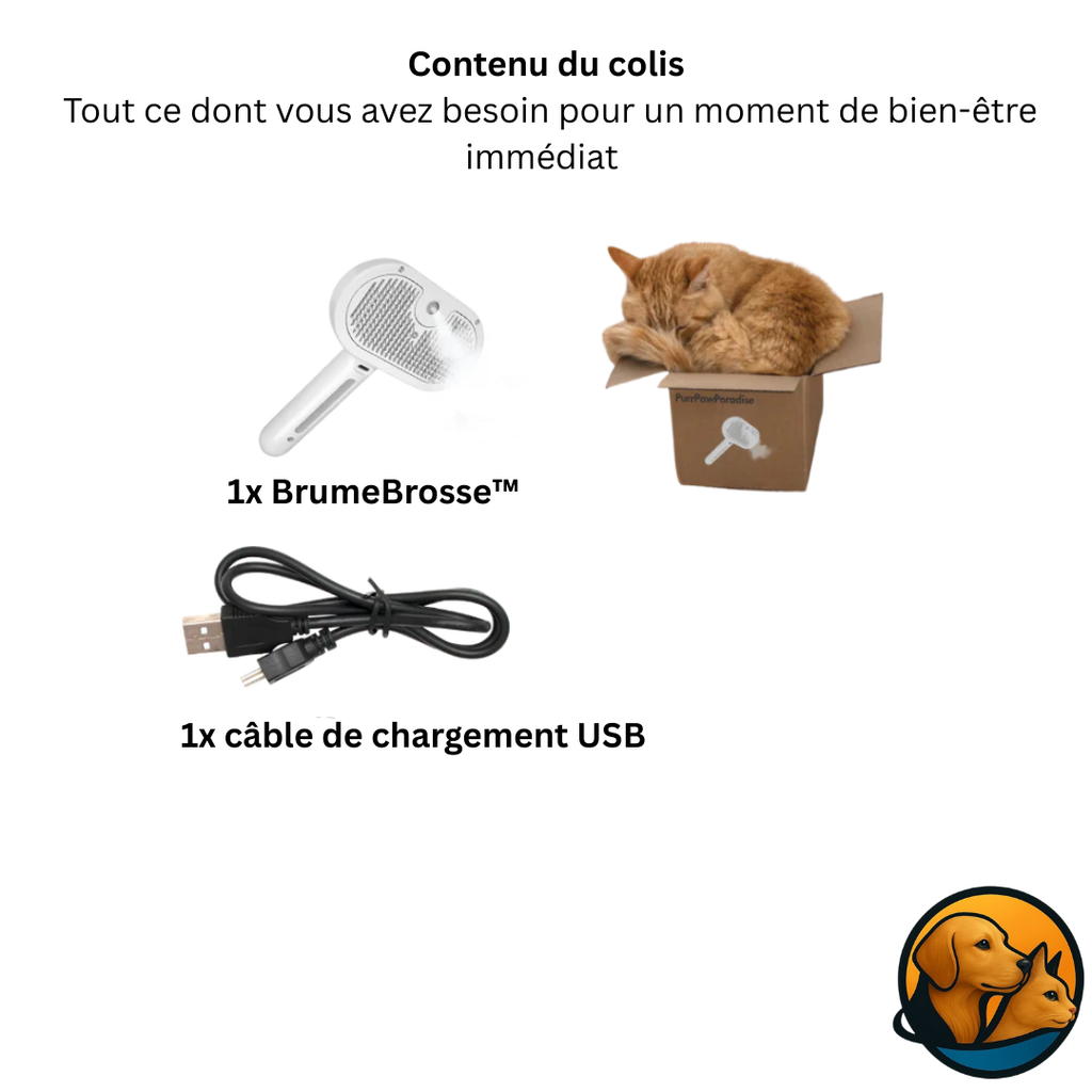 BrumeBrosse™ – Brosse anti-poils avec brume intégrée