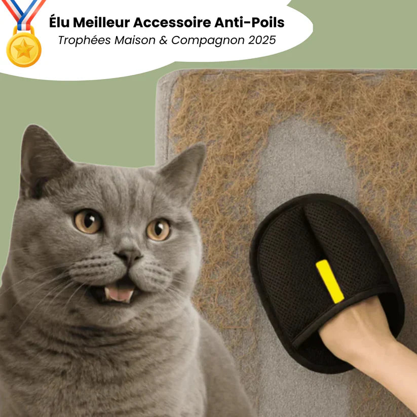 PawBrush™ — Gant Anti-Poils pour Chiens & Chats