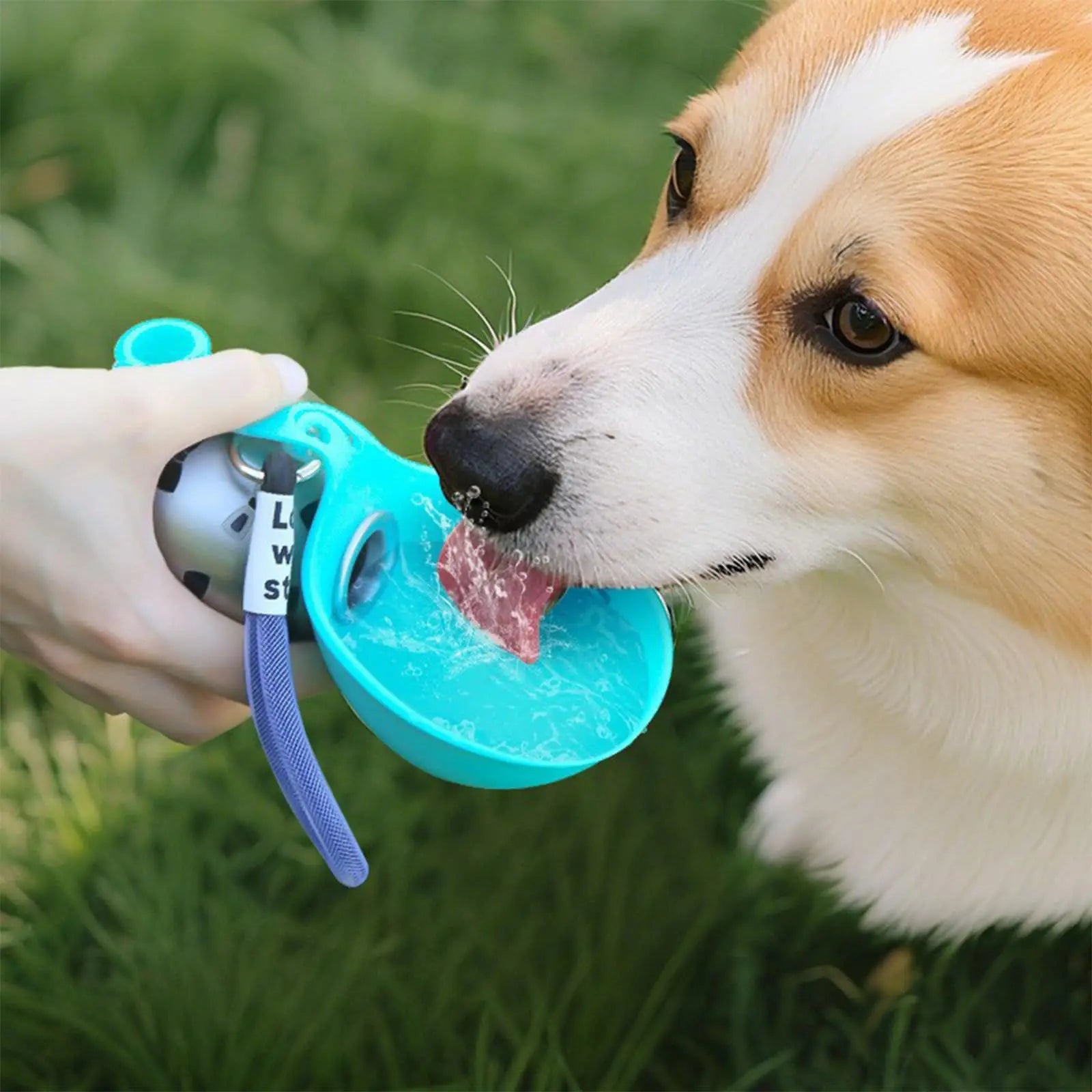 Bouteille d'eau portable 2 en 1 pour chien