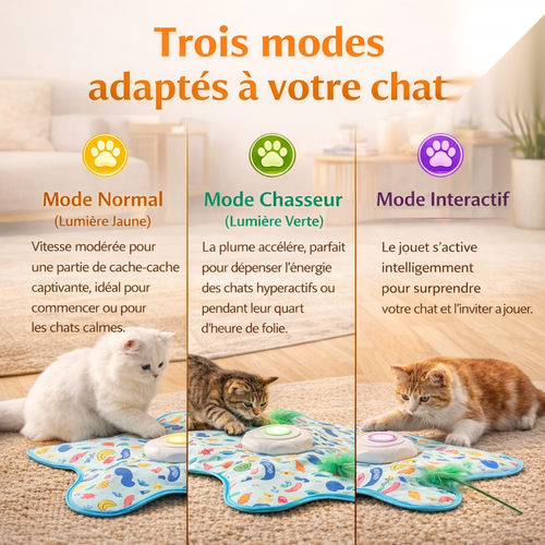 ChasseMalin™ | Occupe et stimule votre chat