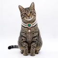 Collier de perle pour chiens et chats