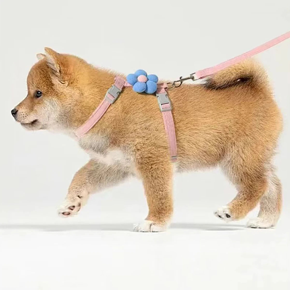 Harnais + Laisse pour Chat et Petit Chien – Réglable, Confortable et Respirant