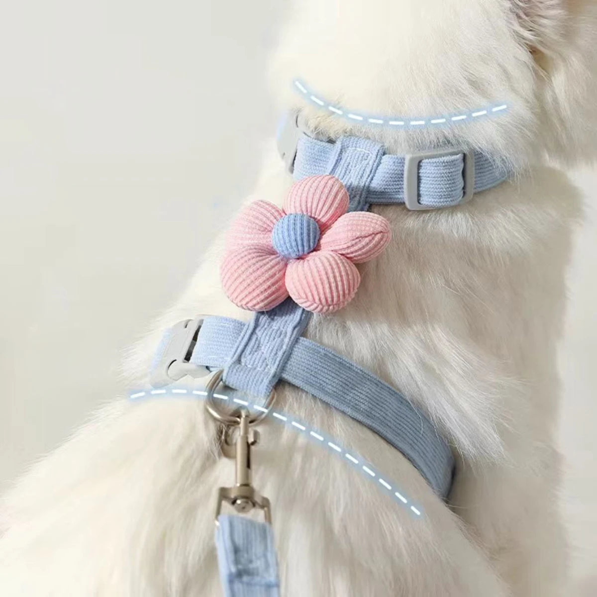 Harnais + Laisse pour Chat et Petit Chien – Réglable, Confortable et Respirant