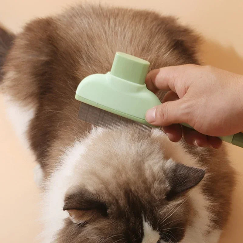Brosse Anti-Poils™