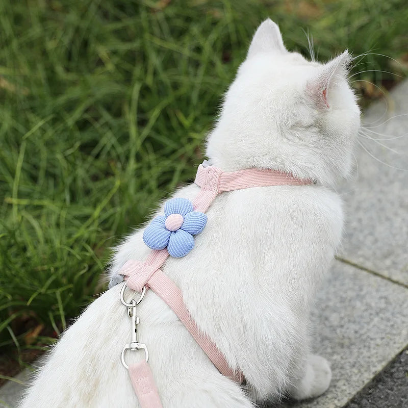 Harnais + Laisse pour Chat et Petit Chien – Réglable, Confortable et Respirant