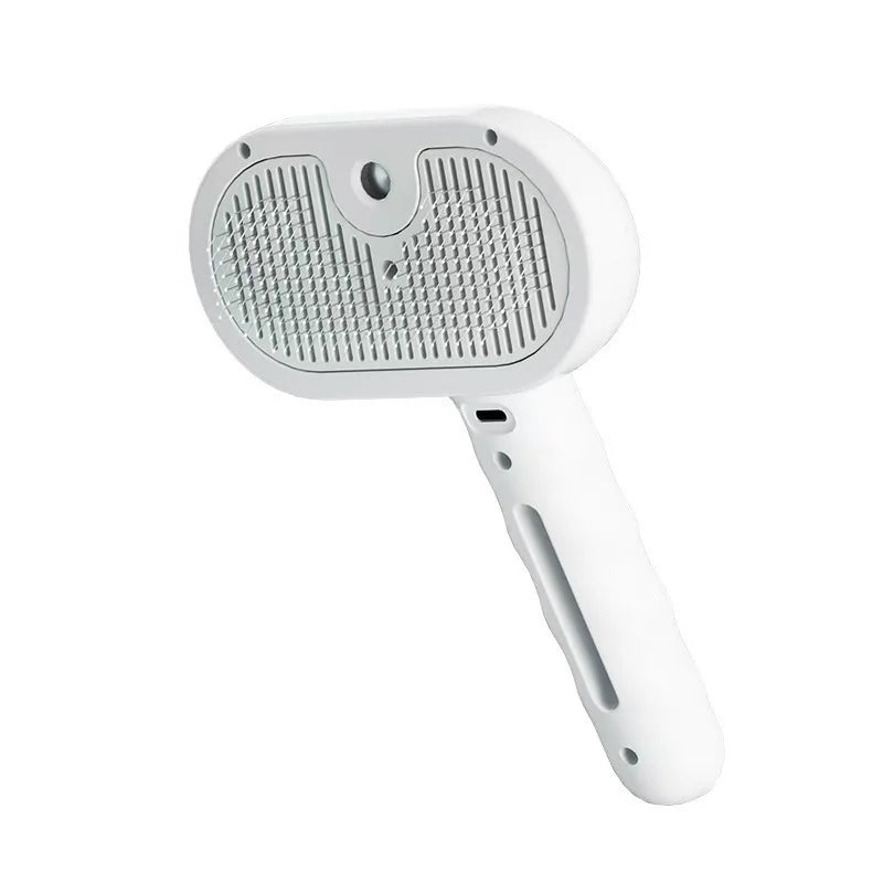 BrumeBrosse™ – Brosse anti-poils avec brume intégrée