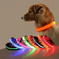 Collier pour chien avec LED clignotantes