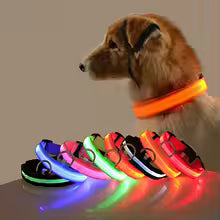 Collier pour chien avec LED clignotantes