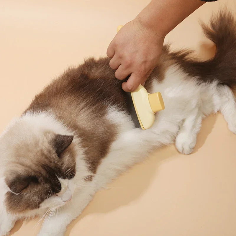 Brosse Anti-Poils™