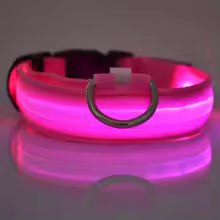 Collier pour chien avec LED clignotantes