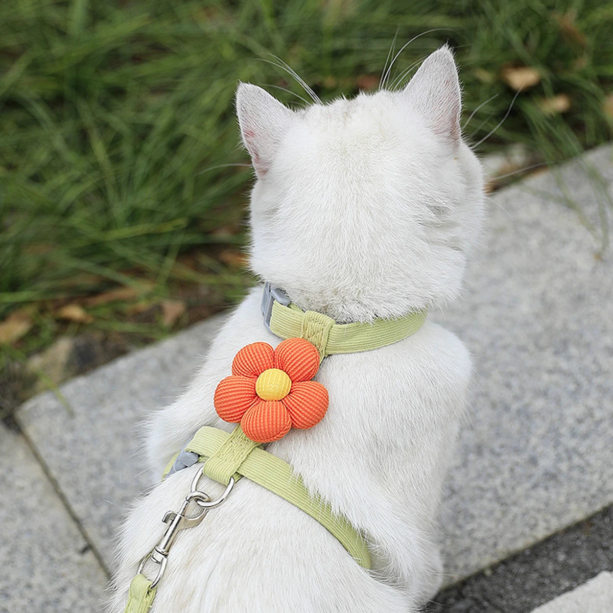 Harnais + Laisse pour Chat et Petit Chien – Réglable, Confortable et Respirant