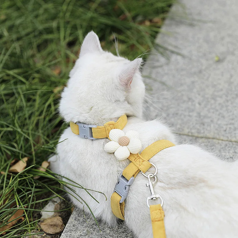 Harnais + Laisse pour Chat et Petit Chien – Réglable, Confortable et Respirant