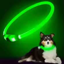 Collier pour chien avec LED clignotantes