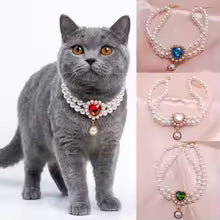 Collier de perle pour chiens et chats