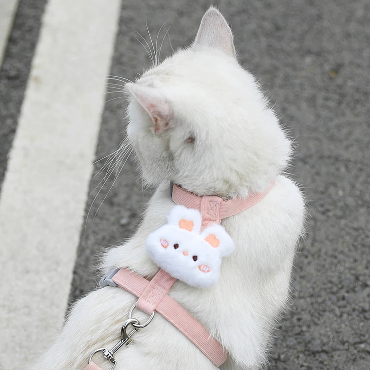 Harnais + Laisse pour Chat et Petit Chien – Réglable, Confortable et Respirant