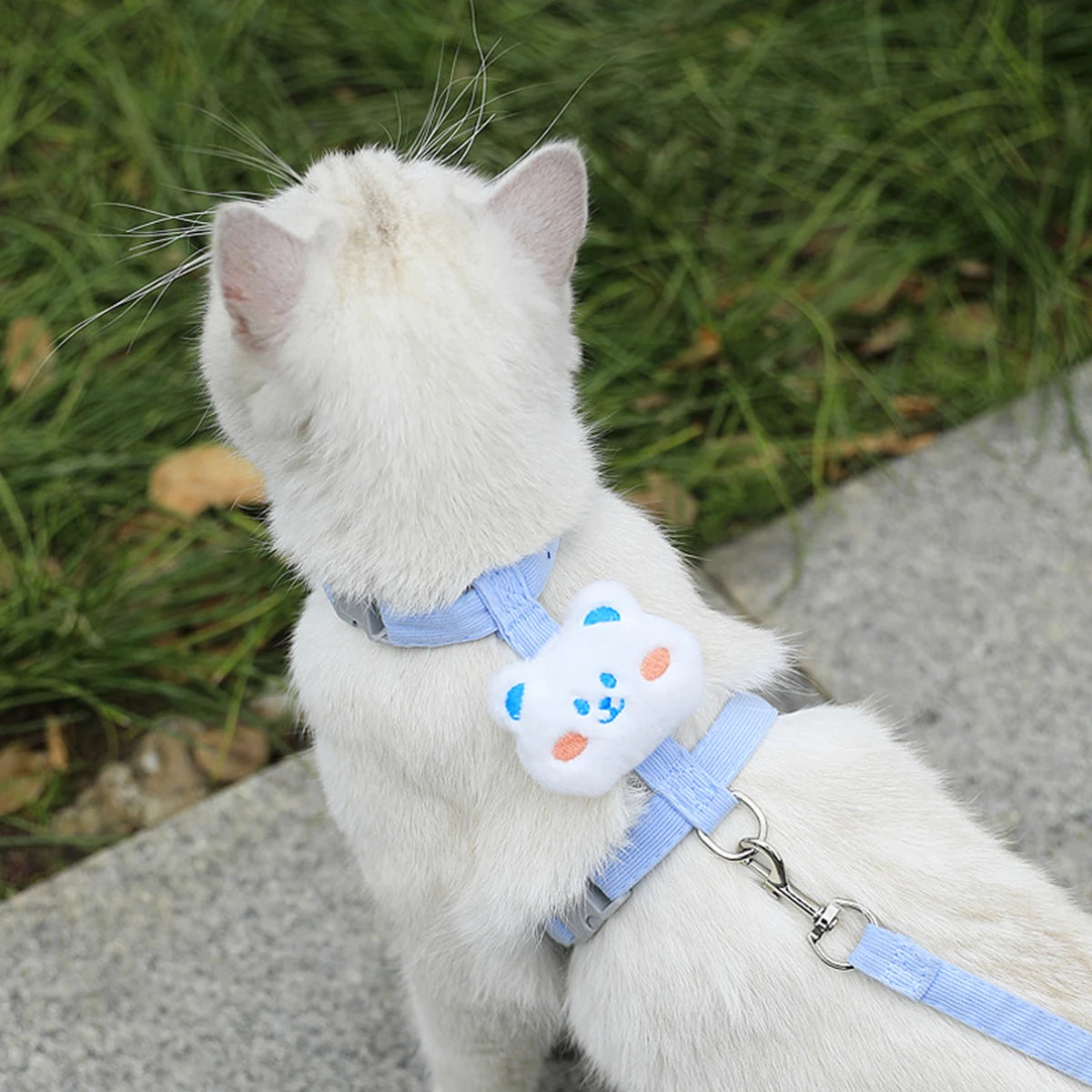 Harnais + Laisse pour Chat et Petit Chien – Réglable, Confortable et Respirant