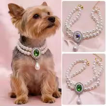 Collier de perle pour chiens et chats