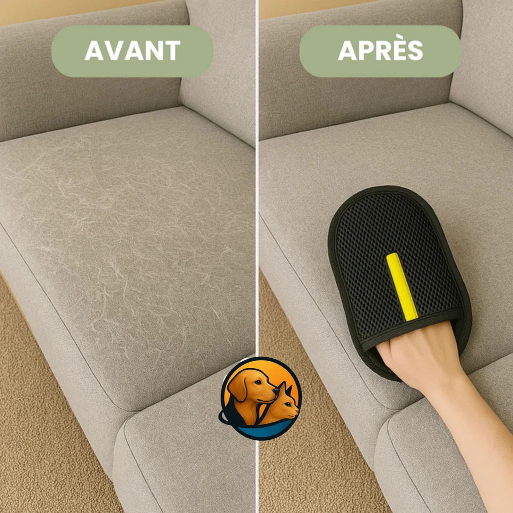 PawBrush™ — Gant Anti-Poils pour Chiens & Chats