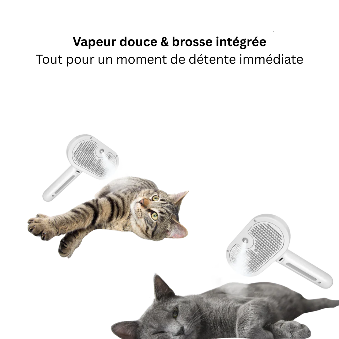 BrumeBrosse™ – Brosse anti-poils avec brume intégrée
