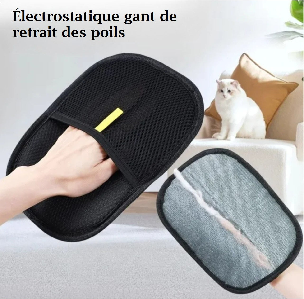 PawBrush™ — Gant Anti-Poils pour Chiens & Chats