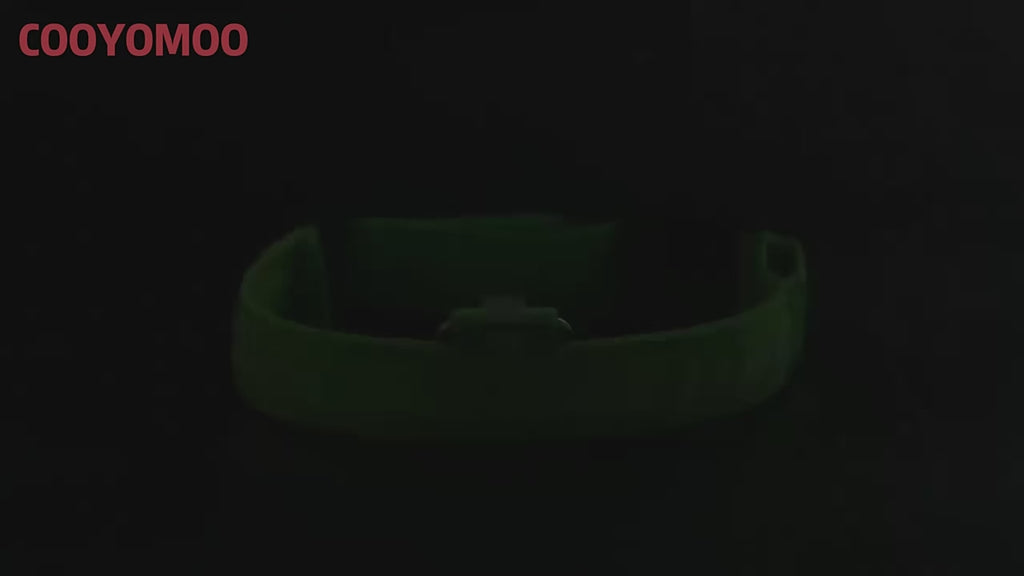 Collier pour chien avec LED clignotantes