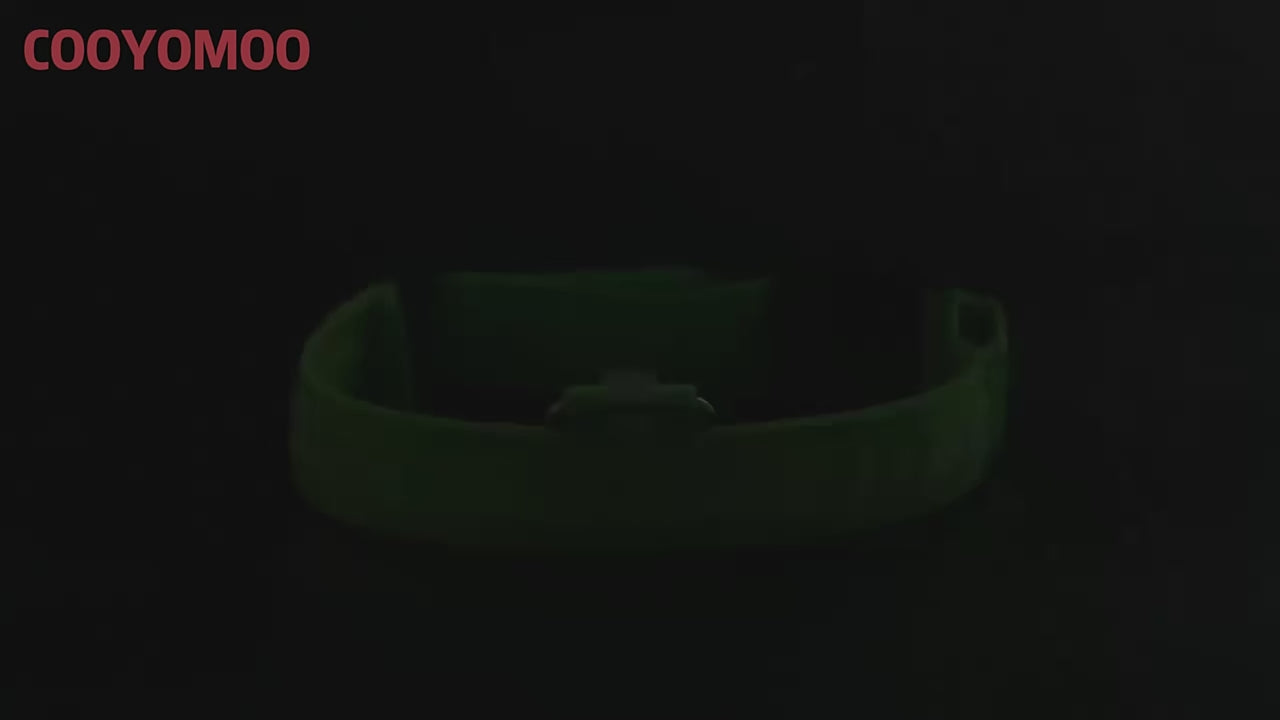 Collier pour chien avec LED clignotantes