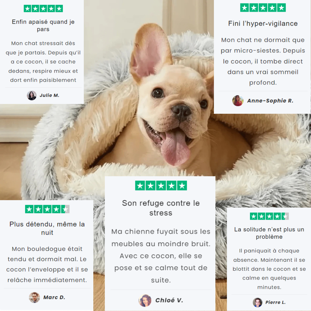 CaniCocoon™ | Cocon anti-stress chiens & chats